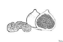 fig Coloring Pages To Print